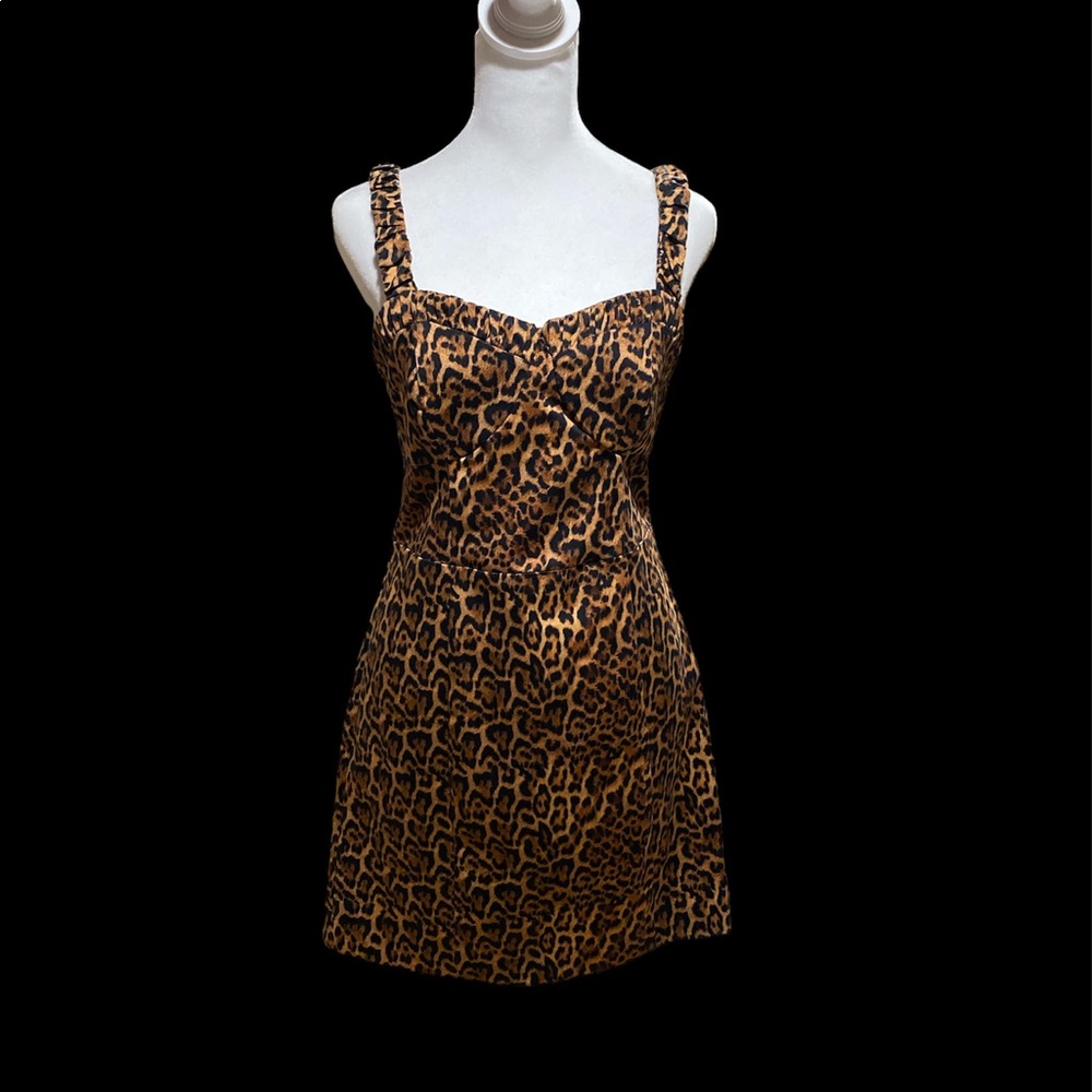 Zara Leopard Print Mini Dress